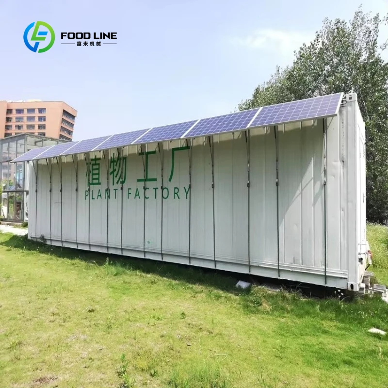 Customized 40 inch Agricultural Greenhouse Container Plant Farm Hydroponic Smart Farming Factory