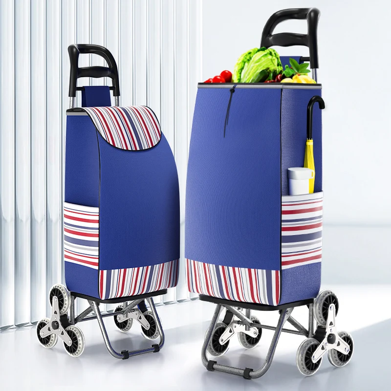 chariot-de-courses-portable-pour-personnes-agees-pour-l'achat-de-legumes-leger-pour-monter-les-escaliers-pliable-en-tissu-oxford