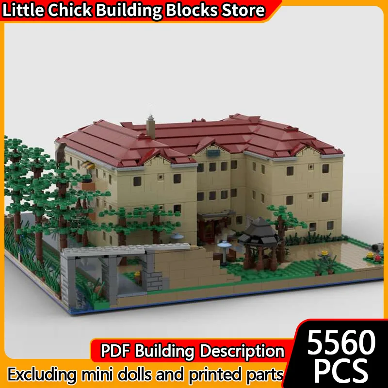 

Street View Model MOC Building Bricks Architecture Hospital Creek Modular Technology Children Holiday Gifts Assemble Toys Suit