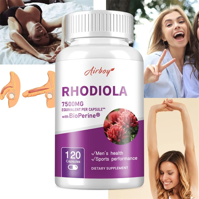 

High Strength Rhodiola Rosea - Helps with Brain Function and Memory, Stress Relief, Non-GMO, Gluten-Free, Healthy