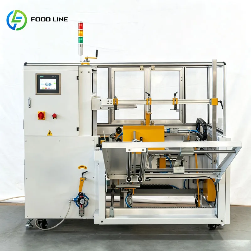 Automatic Carton Packaging Machine Cartoning Equipment Box Packing System For Production Line Customized
