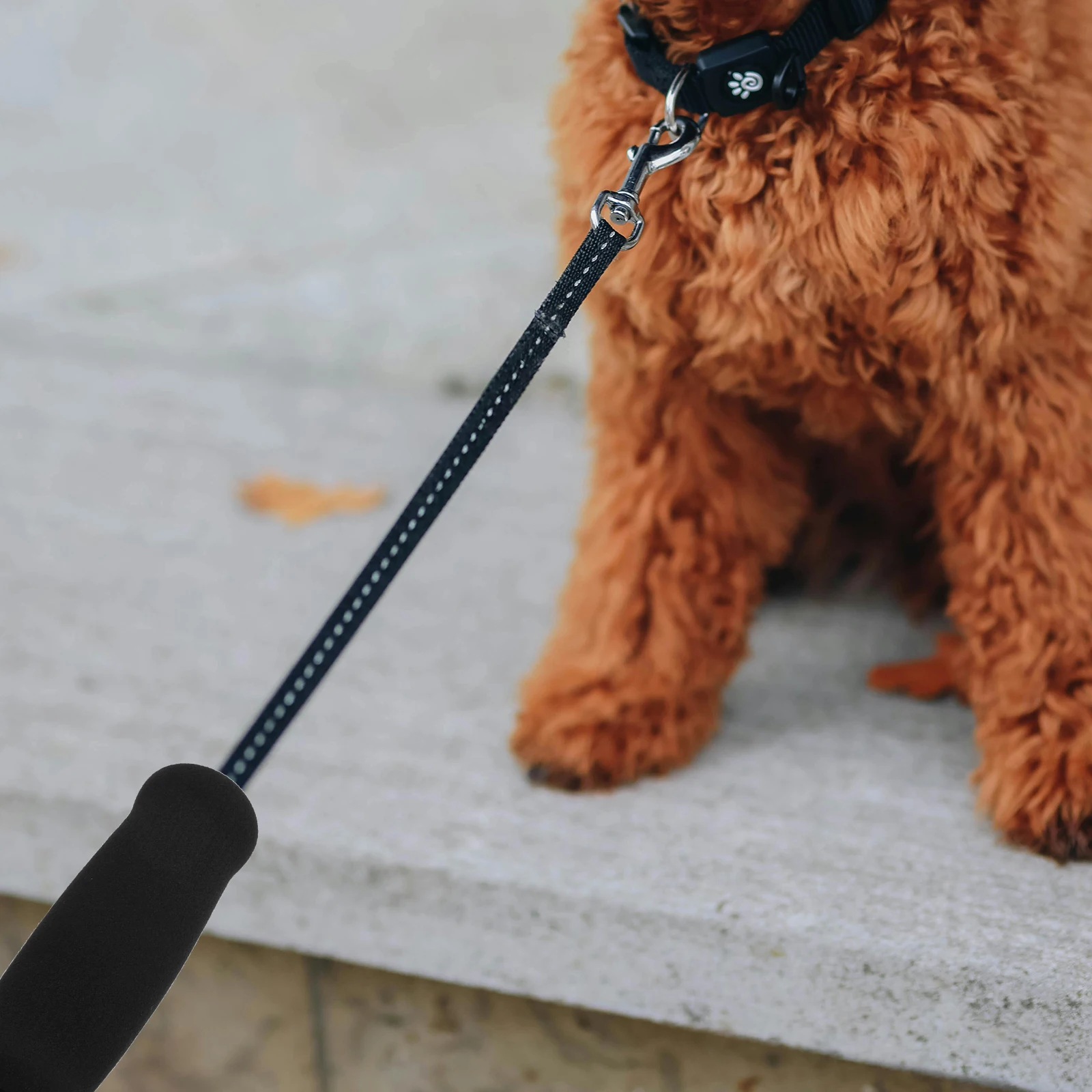 

6pcs Dog Leash Sponge Handle Covers for Cat Dog Pet Leash Accessories Durable Shock Absorbing Hand Protection