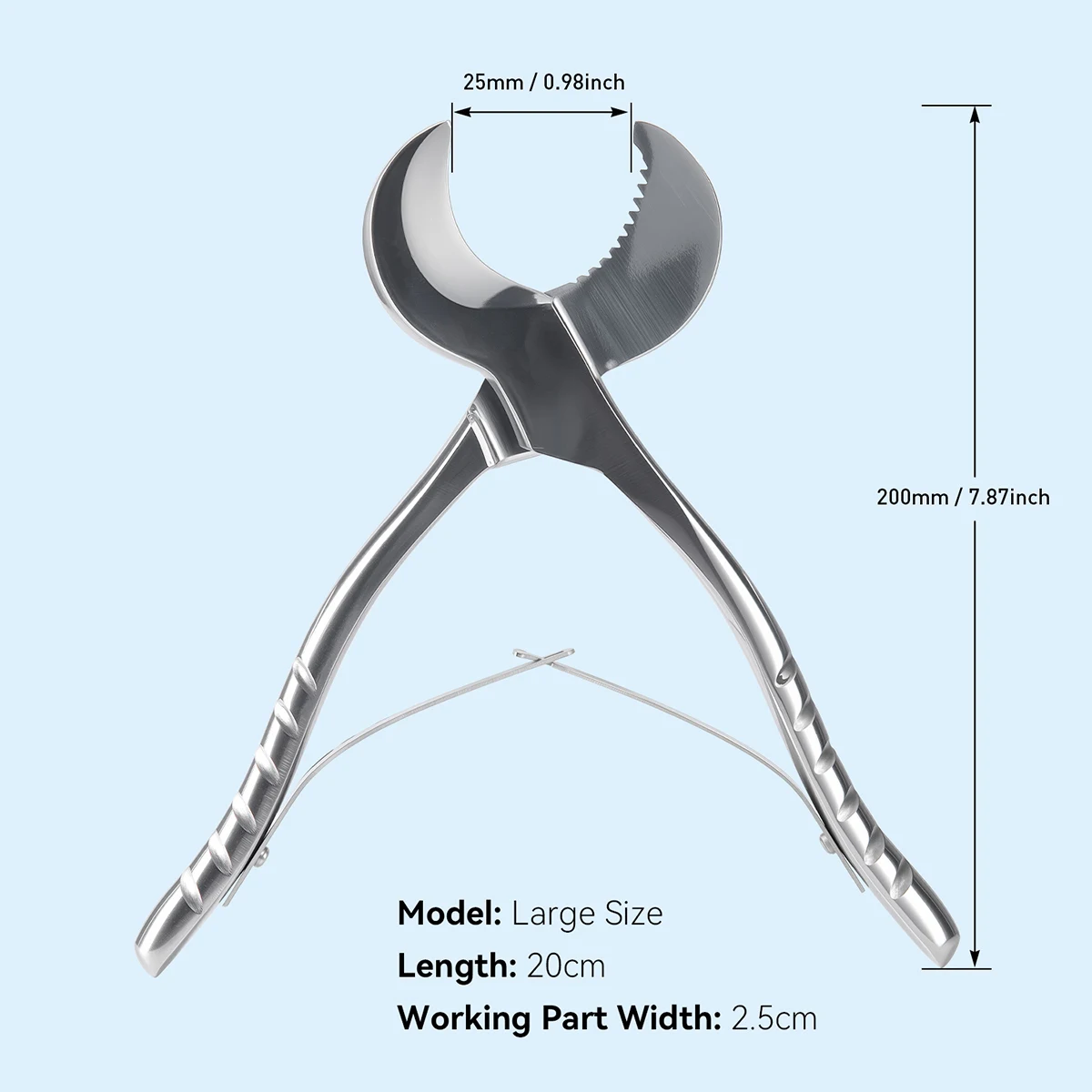 Tijeras para yeso Dental, tijeras medianas/grandes de acero inoxidable, instrumento de 18/20cm, alicates para yeso, 1 ud.