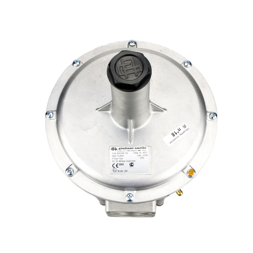 

OR Giuliani FG1B50 Anello De Alto Gas Pressure Regulator Speed Control Valve with Filter Device burner Accessories