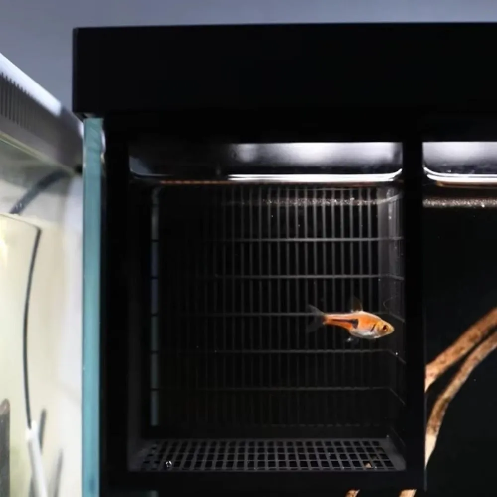 Breeding Use Fish Breeding Box Solid Partition Hanging Type Isolation Guppy Incubator Safe Partition Breathable