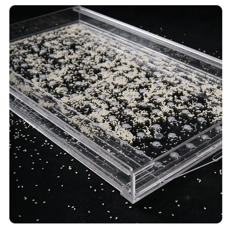 Acrylic Manual Seed Sower 32/50/72/98/105/162/200  Holes - Efficient Seeding Tool for Seedling Tray Garden Nursery Planting