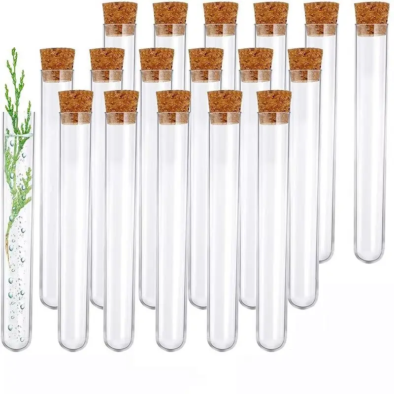 10 Pieces of Plastic Laboratory Test Tube 12x100 Mm Transparent Test Tube with Cap School Laboratory Supplies Accessories