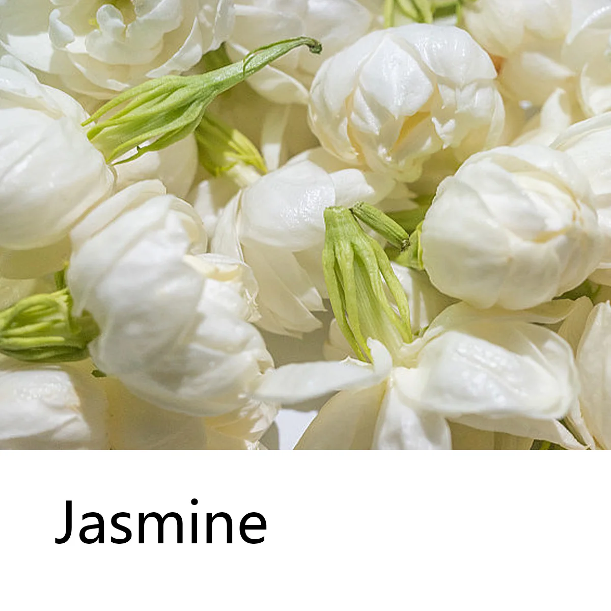 Jasmine Essential Oil Shampoo Soap, Deep Cleansing, Nourishing, Oil Controlling, Hair Care, Daily Shampoo Soap, Handmade Soap
