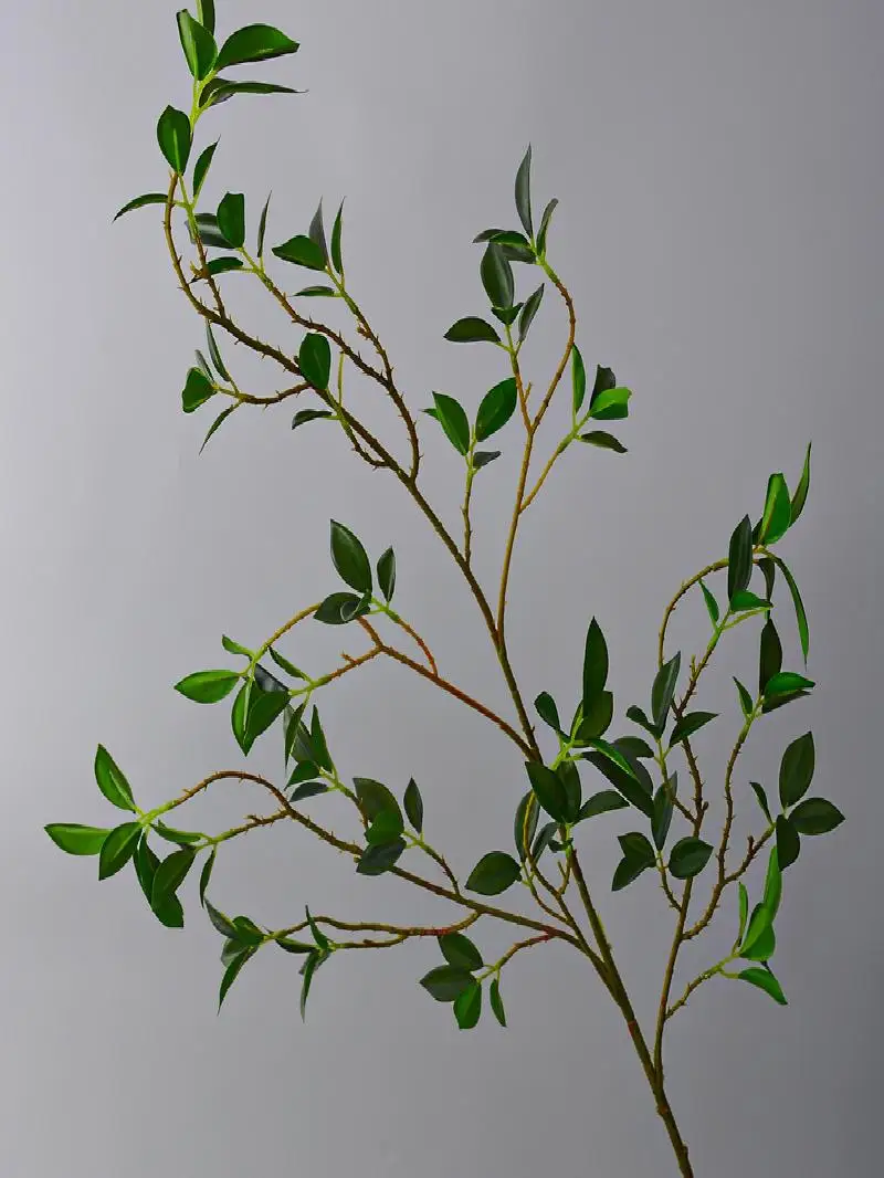 

Artificial Plant Fake Leaves Engineering Greenery Home Decorate Fig Tree Long Branch Thin Leaf Simulation Photography Background