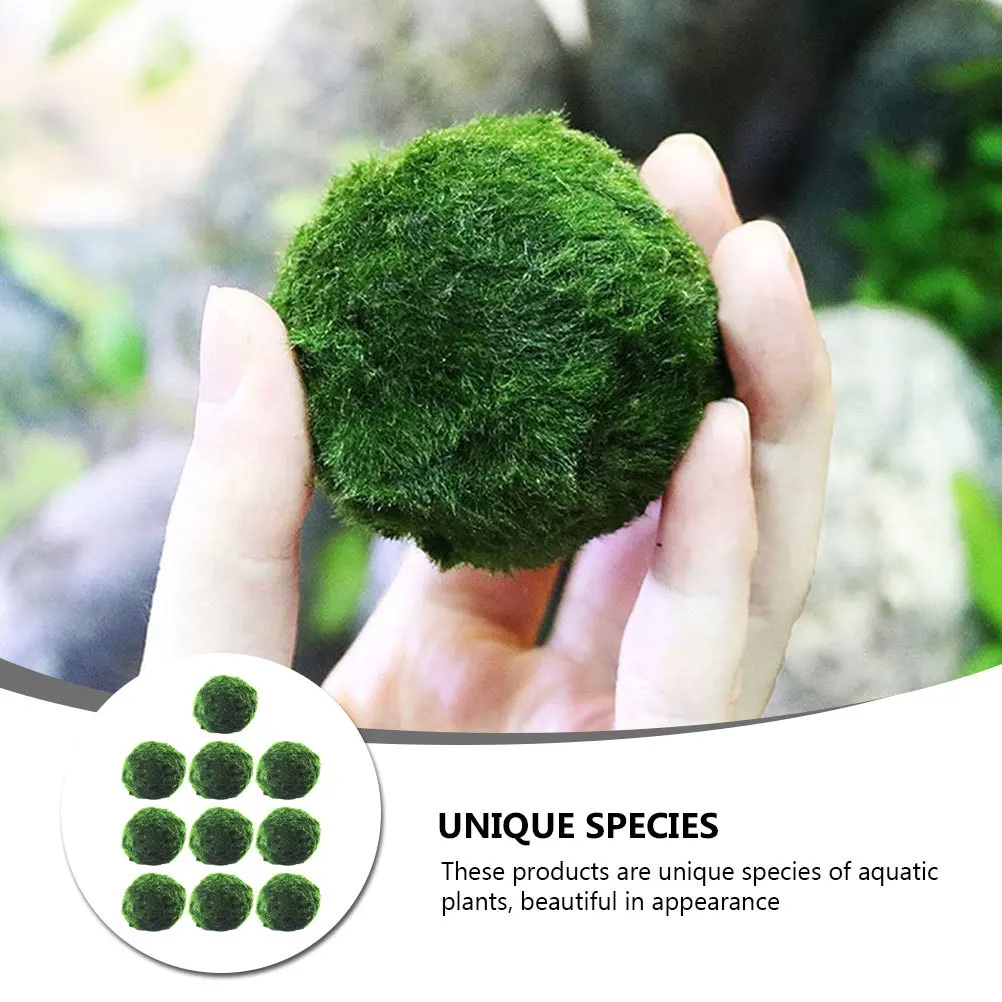 10 Uds bolas de acuario hidropónico plantas acuáticas creativas decoración de pecera bolas de algas para tanques de camarones