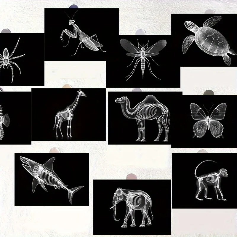 20PCS Modern Animal Bone Postcards Are An Excellent Gift for Enhancing Your Living Room, Bedroom, or Office Wall Decor