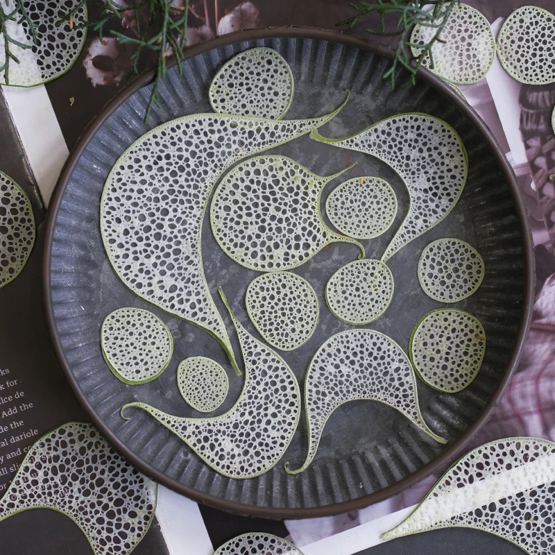 12 Stück, geprägte Luffa-Scheiben, getrocknete Blumenproben für UV/Epoxidharz, Fotorahmenkunst, Grußkarten und Lesezeichen, Bastelmaterialien – Detail 4