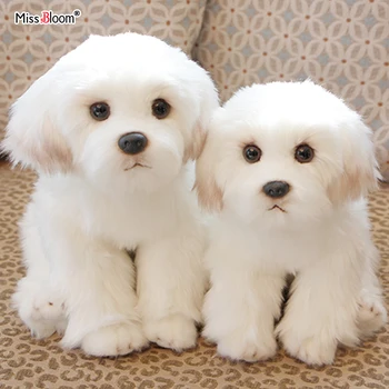 귀여운 봉제 고양이 발 투명 큐브 스트레스 해소 미니 스퀴시 장난감, 파티 손님용 스퀴즈 장난감, 신제품