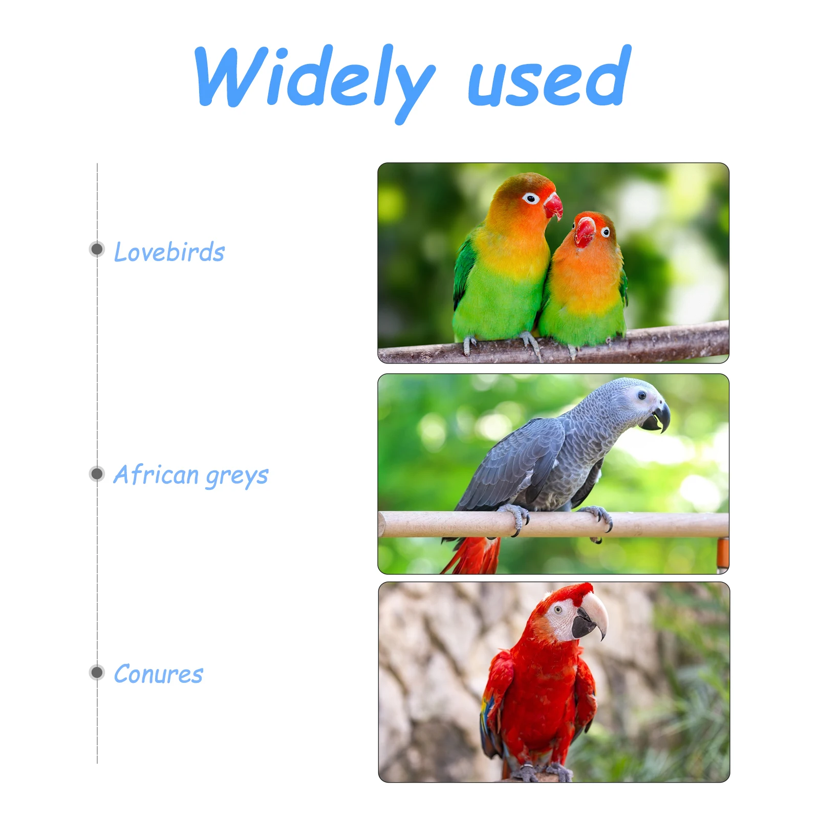 

Waterproof Diapers Reusable Diapers For Parrots Cockatiels Pigeons Lightweight Soft With Bowknot Design Costume Parrot Flight