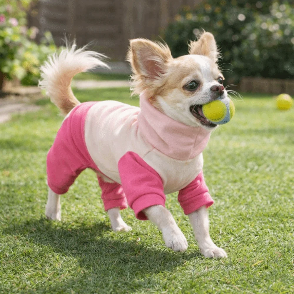 

Легкие теплые комбинезоны для щенков, эластичная ветрозащитная одежда для собак на четырех лапах, мягкая и удобная зимняя одежда для собак, осень-зима