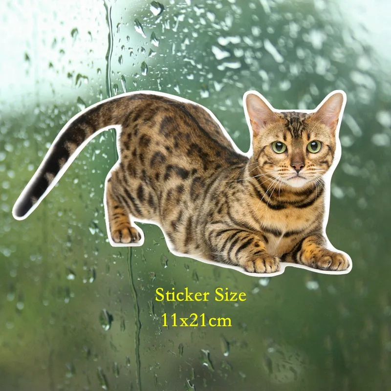 Funny Car Stickers Boutique Decals Exterior Accessories Bengal Cat Siberian Cat Auto Automobile Decal 13*17CM