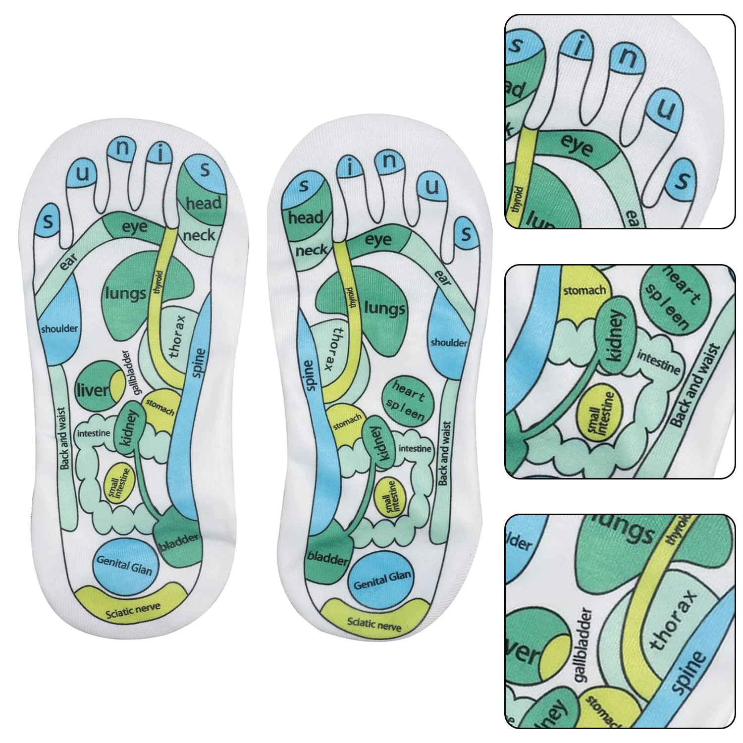 Acupressure Socks Gloves Physiotherapy Massage Relieve Tired Feet Reflexology Socks Foot Point Socks Full English Illustration