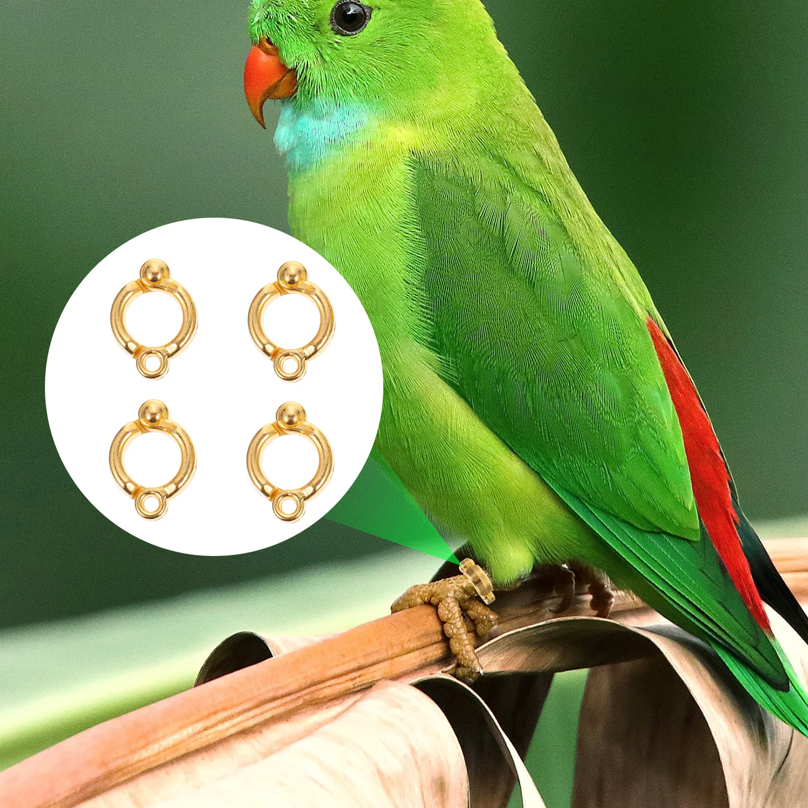 4Pcs Stainless Steel Parrot Foot Rings Adjustable Opening Bird Leg Rings for Flying Training Outdoor Bird Supplies