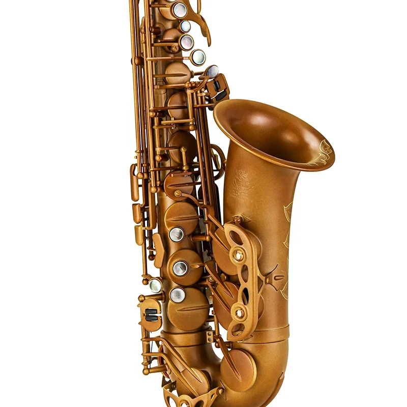 

Professional Alto Saxophone 950 Good Quality Brass Body Tone EB