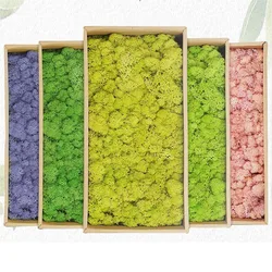 20g Artificial Green Plants Eternal Life Moss Grass Mini Landscape Fake Grass DIY Crafts for Home Living Room Garden Decor