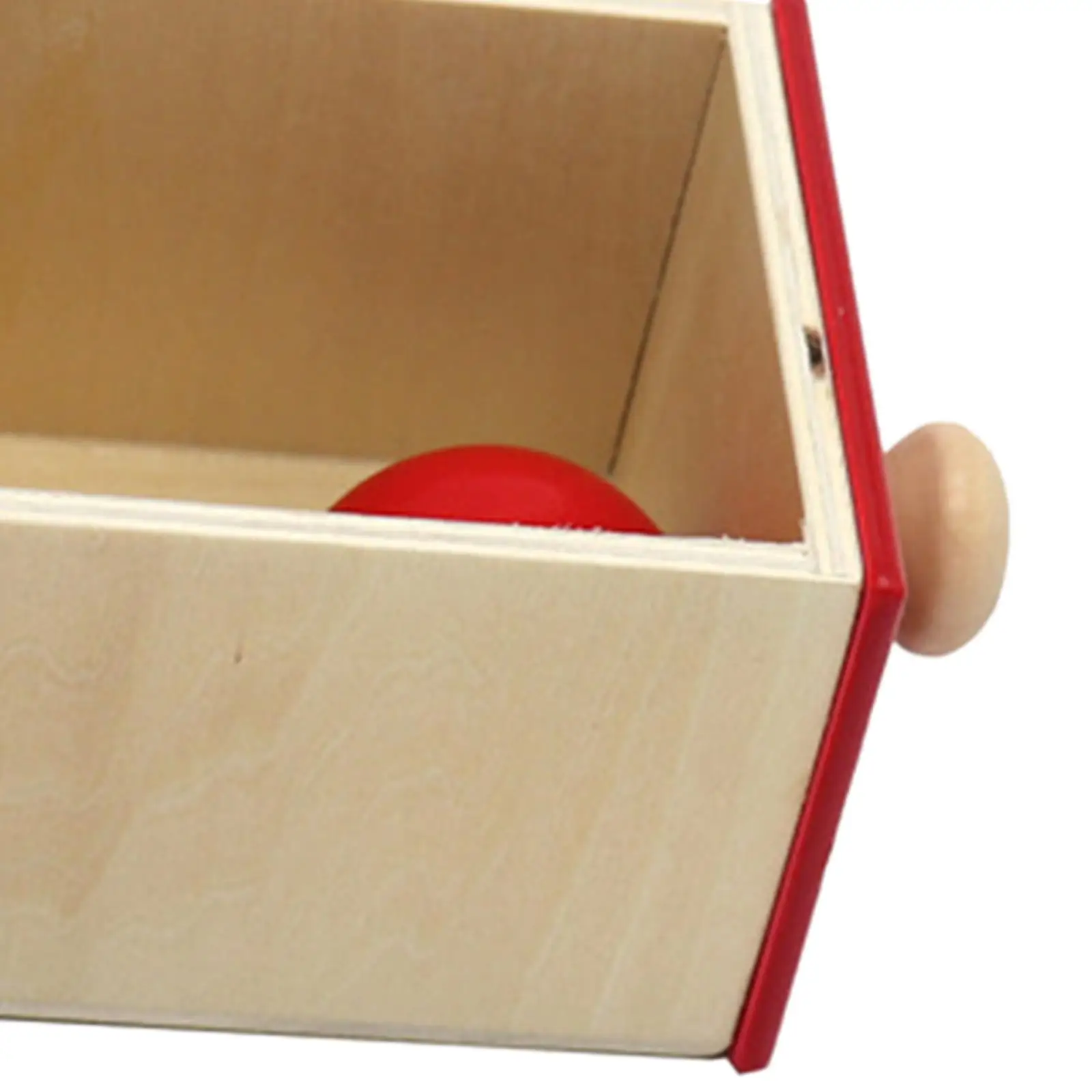 Montessori Ball Drop Box Onderwijs Hulpmiddelen Vroege Educatie Houten Puzzelkleur