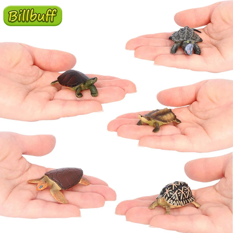 جديد محاكاة الزواحف الحيوان السلاحف الصغيرة شبل نموذج عمل تمثال أرقام جمع الدمى ألعاب تعليمية للأطفال هدية #1