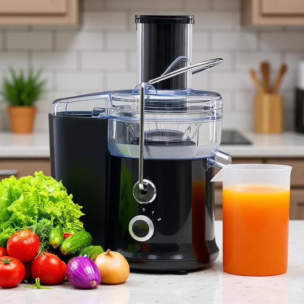 

480W Juice Extractor with 2.6 Feed Chute, Dual-Speed Electric Juicer, Easy Clean, BPA-Free, Black