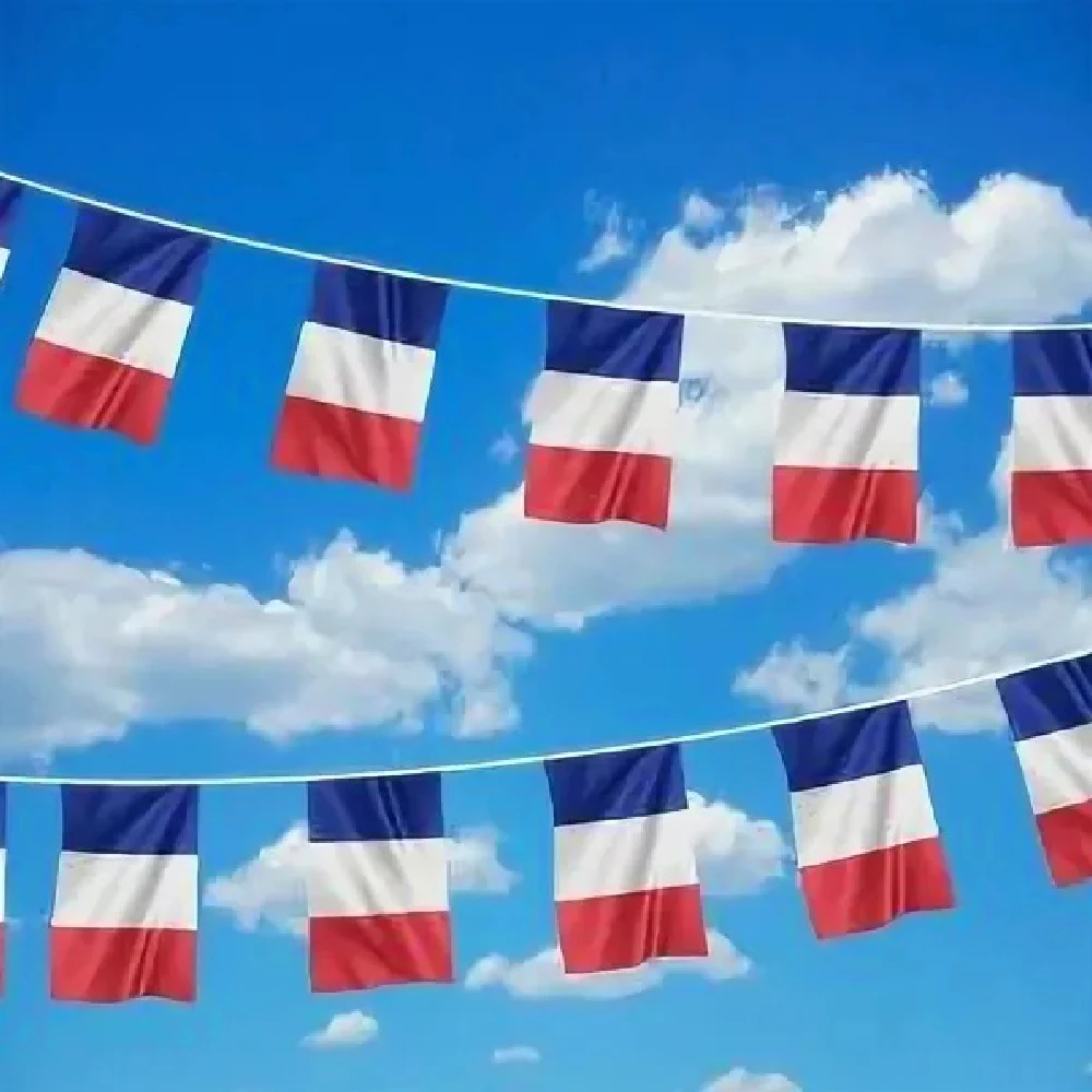 Banderas francesas 14x21cm 20x30cm 24 unids/set FR Francia banderín francés cuerda Banner Buntings Festival fiesta