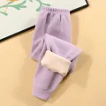F29095PU
