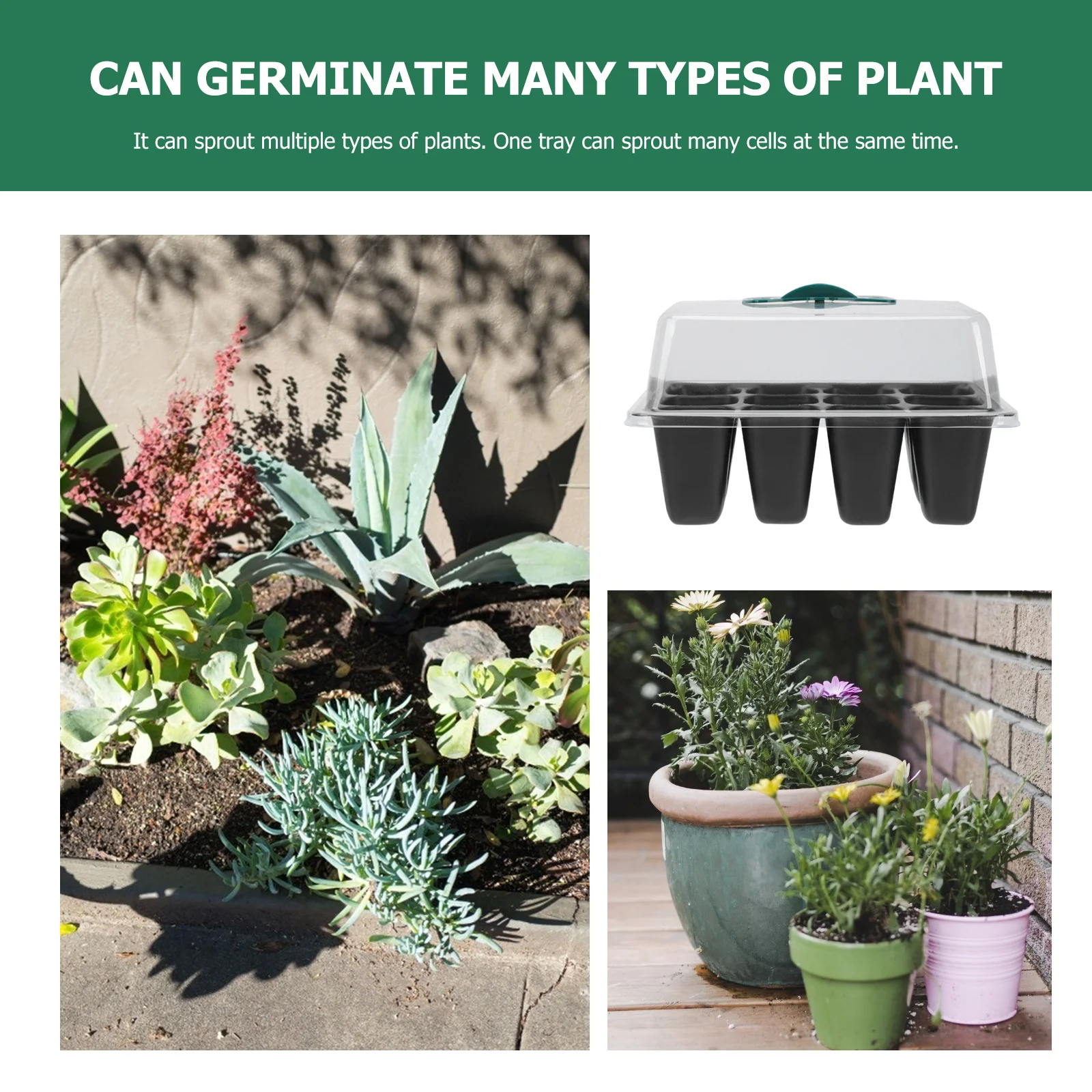 

3pcs 12-Cell Germination Box Seedling Starter Tray For Garden Planting Tool Vegetable Nursery Pot Plastic Planter