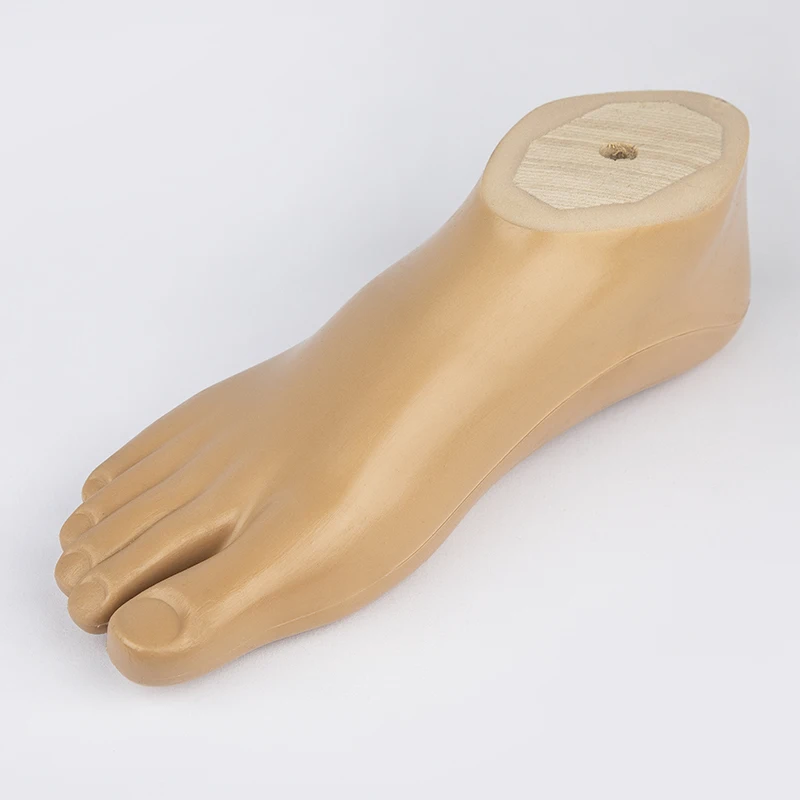 Prosthetic Foot Board Static Ankle 21～27cm Accessories Parts Artificial Limbs Ortheses Prostheses Sockets Fasten