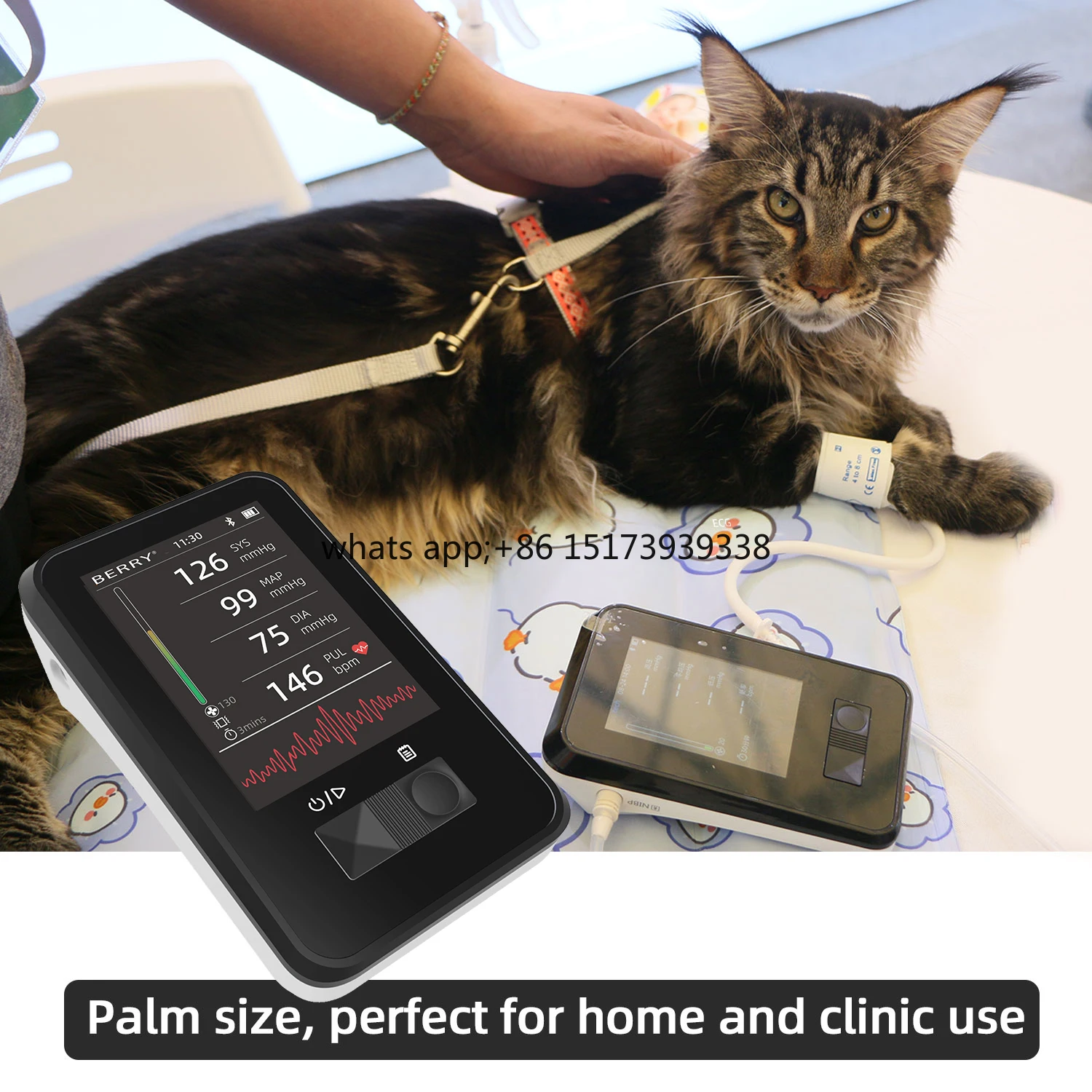 

Veterinary Measurement BERRY Pet Trust Vet