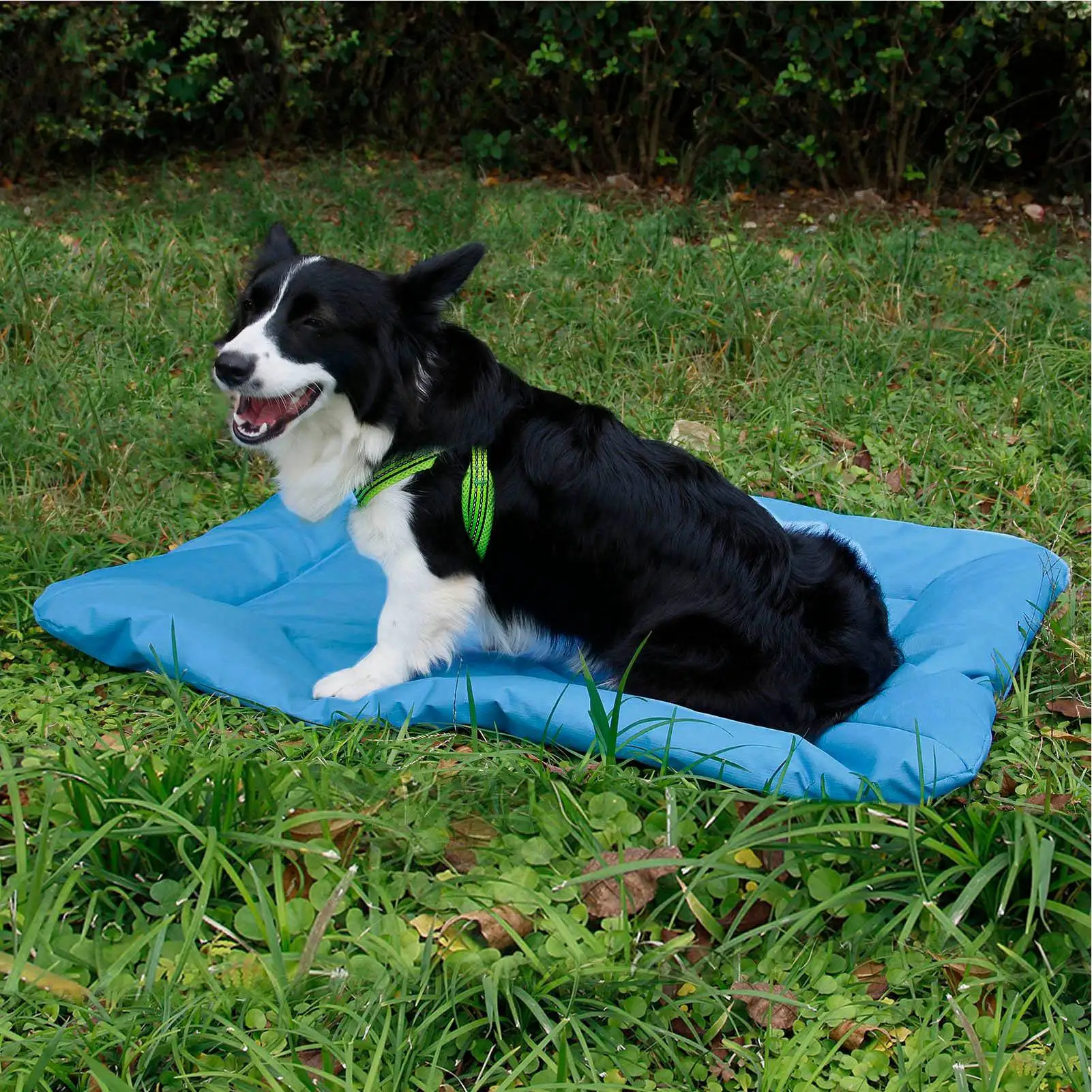 

【New】Dog Beds Crate Pad Outdoor Camping Foldable Pet Sleeping Pad 600D Oxford Cloth Waterproof Scratch-resistant Dog Mat