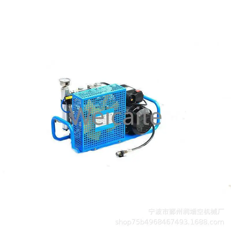 Runzengkong Portable High Pressure Submersible Breathing Gas Cylinder Air Compressor Filling Air Pump Fire Breathing 20-30Mpa