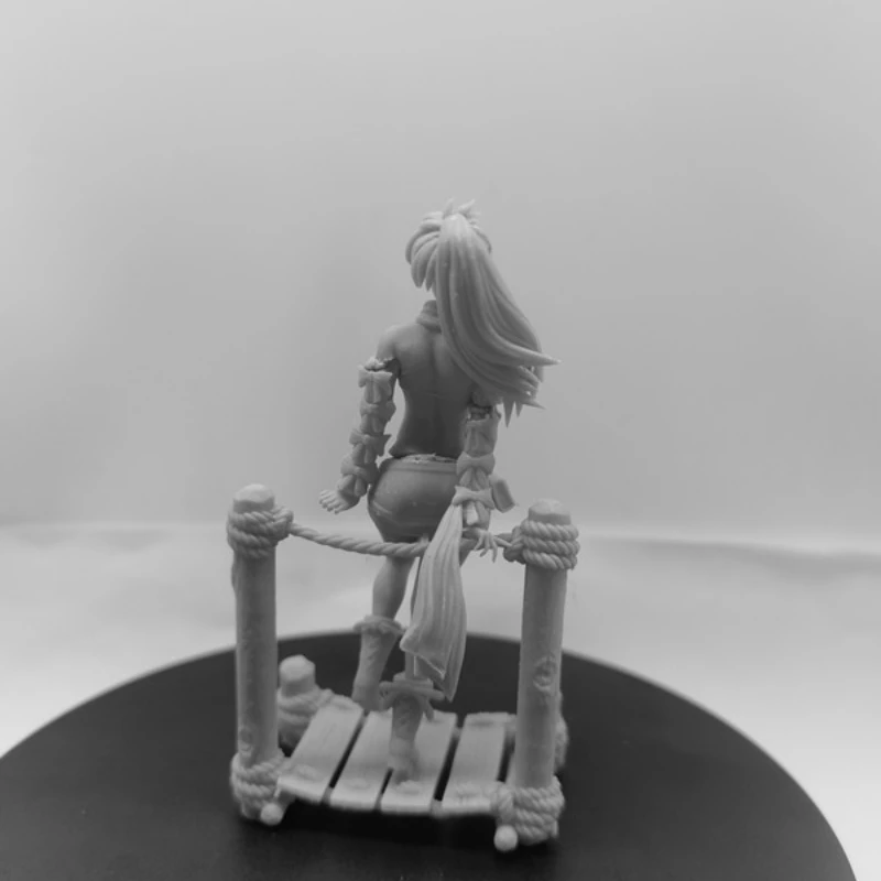 Resin Model Figure, 1/24 Scale Adventurer Lucy, GK, Unassembled and Unpainted Kit, 3D DIY Toy
