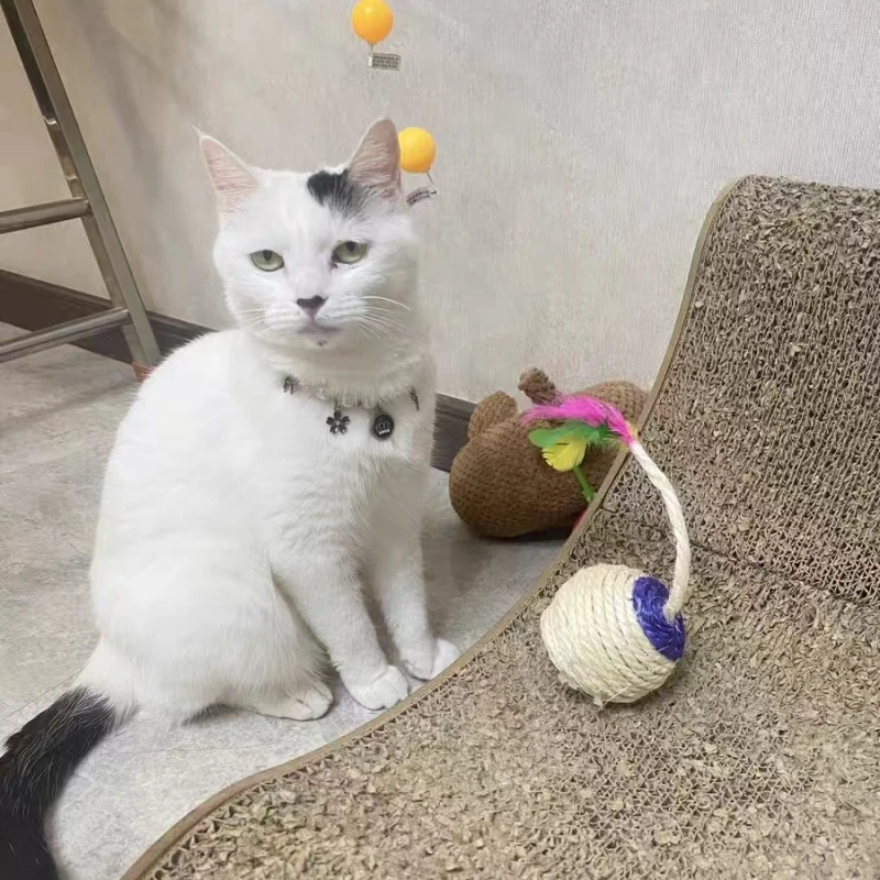 

Cat Toy Sisal Scratching Ball Pet Cat Supplies Feather Toy Cat Toys Interactive Training Interactive Toy for Kitten