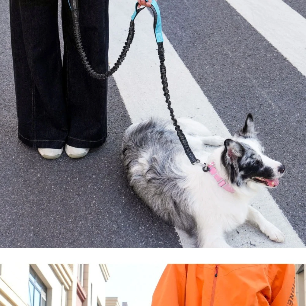 Correa de Correr para Perros c - Hands Free Dog Running Leash Waist Belt reseña y precio
