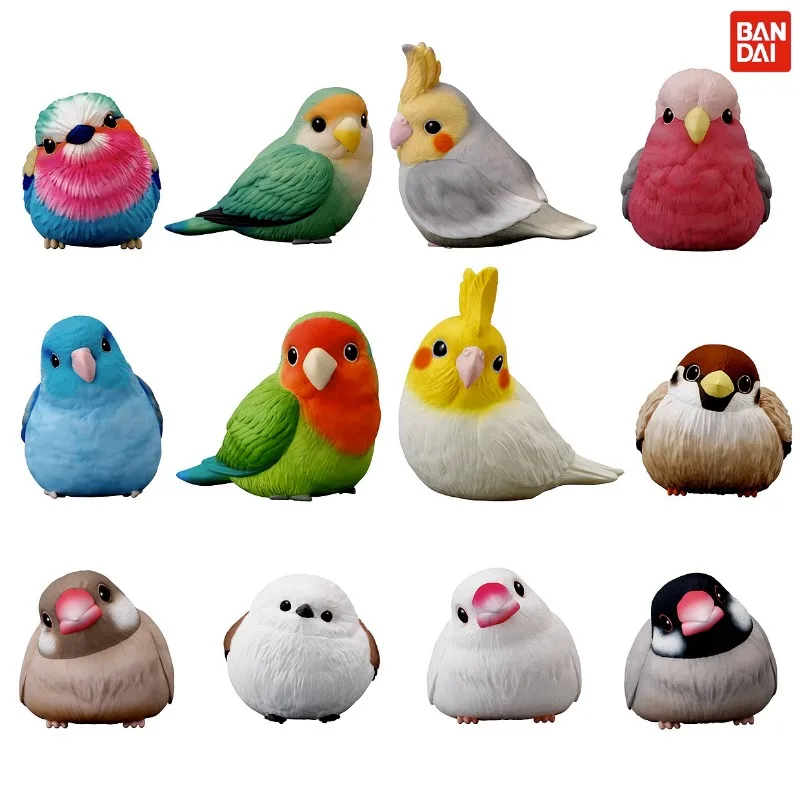 

BANDAI Japan Gashapon Figure Anime Cute Birld 1R Peony Titmouse Parrot Figurine Kawaii Capsule Toys for Boys Girls Gift