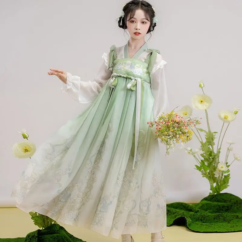 Spring Summer Elegant Hanfu Dress Set Chinese Elements Floral Print Ancient Princess Dress Female Vintage Traditional Dance Robe