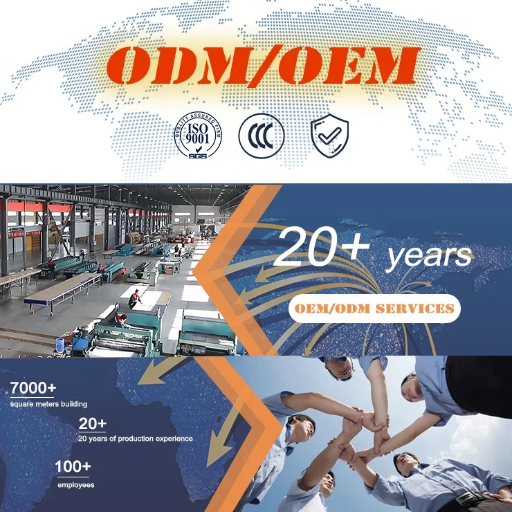 Porta de garagem de aço de grão de linha quadrada com detalhes modernos contemporâneos do Norton com molduras de janela pretas e vidro colorido para casa