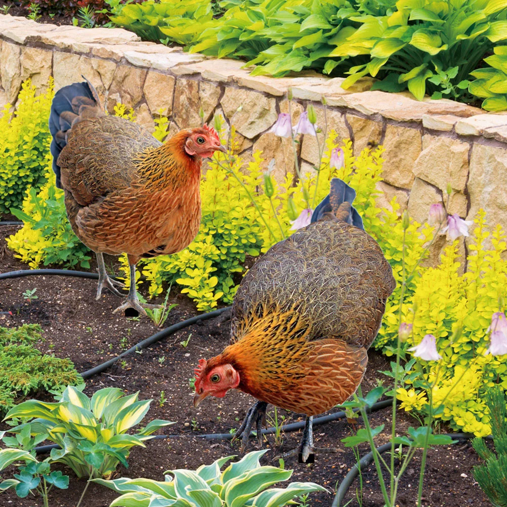 

2 Pcs Decorative Garden Inserts Hen Decoration Yard Silhouette Stake Acrylic Sign Chicken Outdoor Decorations for Patio and