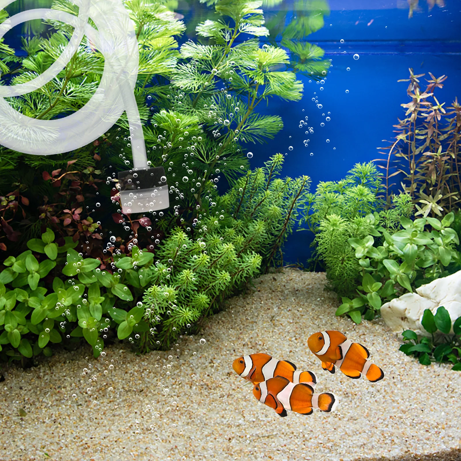 

3Pcs Maifan Stone Sponge Filter for Fish Tank Aquarium Biofilter Biological Water Purification Sponge Filter