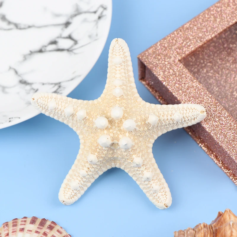 Starfish Crafts Decor Starfish DIY Shell Sea Fish Party Beige Starfish Decor