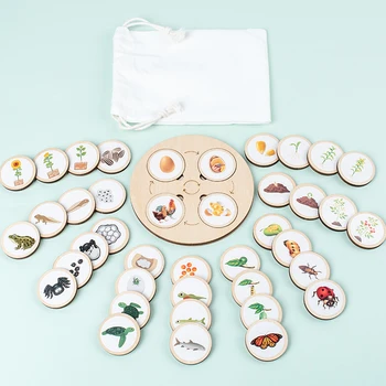 Life Cycle Board Montessori Kit Biology Science Education For Kids Sensory Tray Animal…