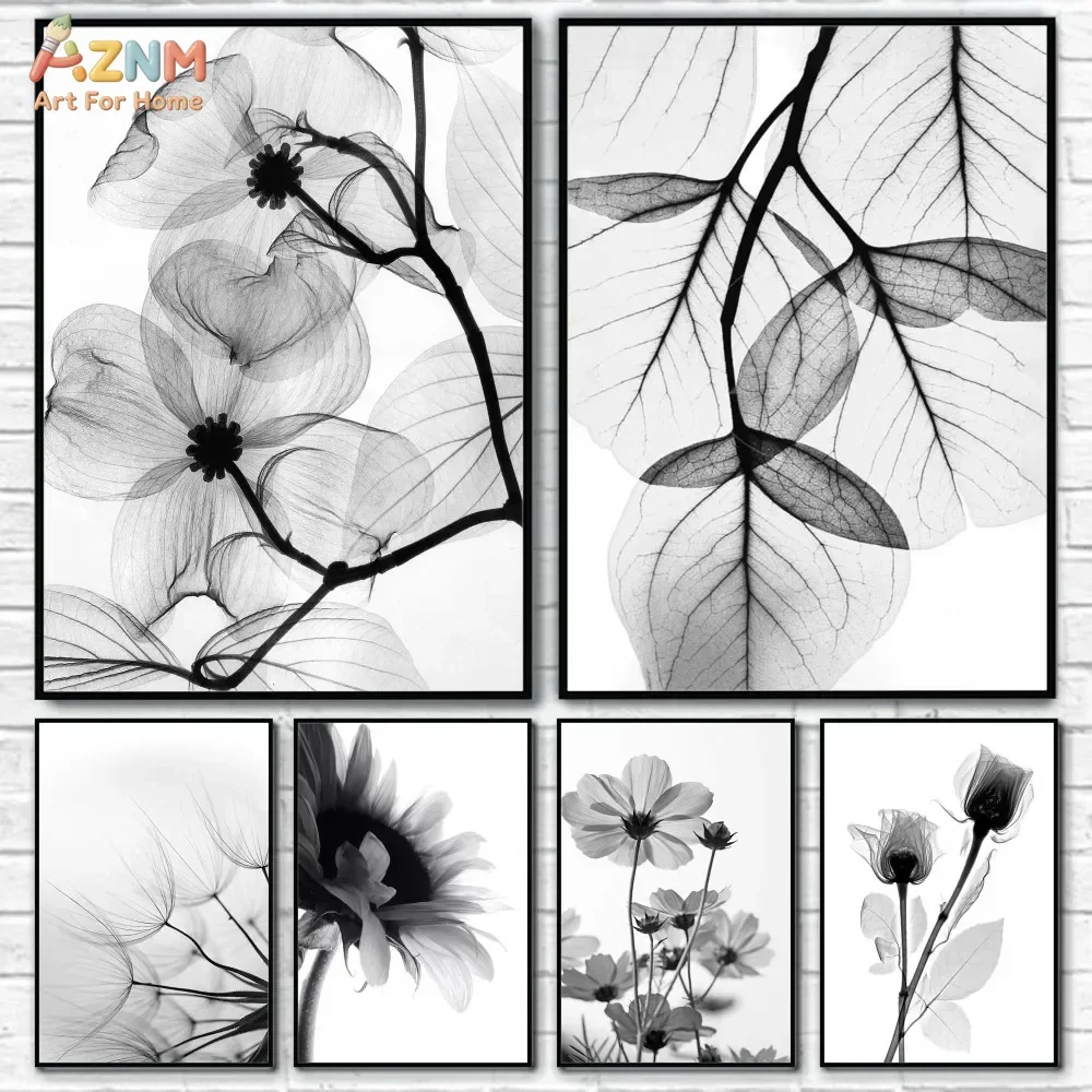 AZNM Black White Transparent Flower Canvas Wall Art X-ray Botanical Leaf Sunflower Dandelion Poster Print Minimalist Nordic Deco