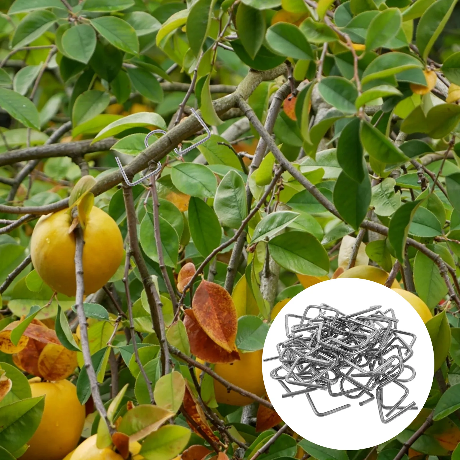 Extractor de árboles galvanizado, moldeador de corbatas, esparcidor de ramas, doblador de alambre dibujado en frío, moderatores de bonsái de jardín duraderos, árboles frutales y flores
