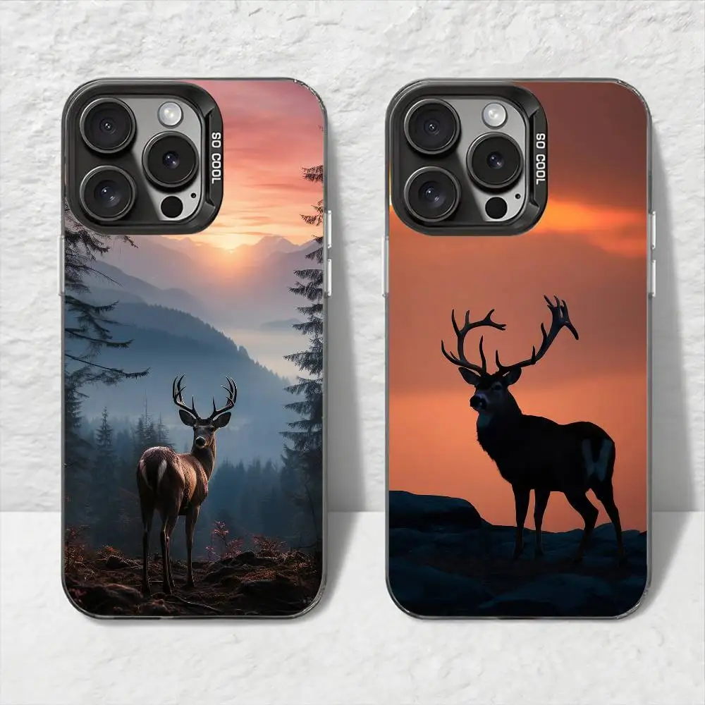 Deer Hunting Camo P…