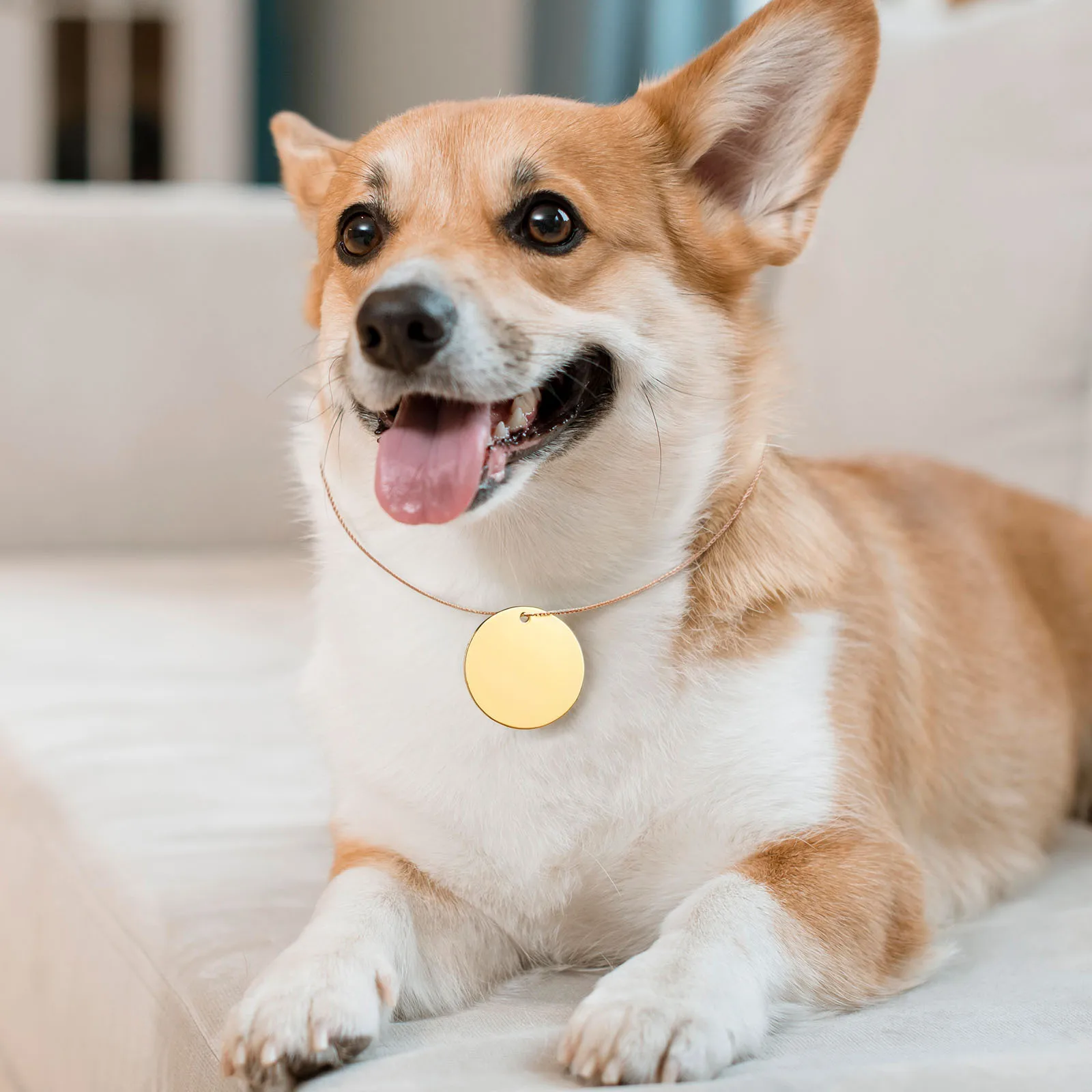 

10Pcs Stainless Steel Round Blank Discs Flat Charms Metal Stamping Blanks for Engraving Jewelry Making Keychain Pendants