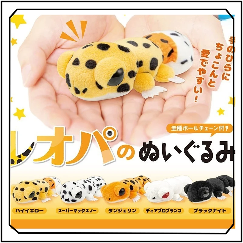 Common Leopard Geck…