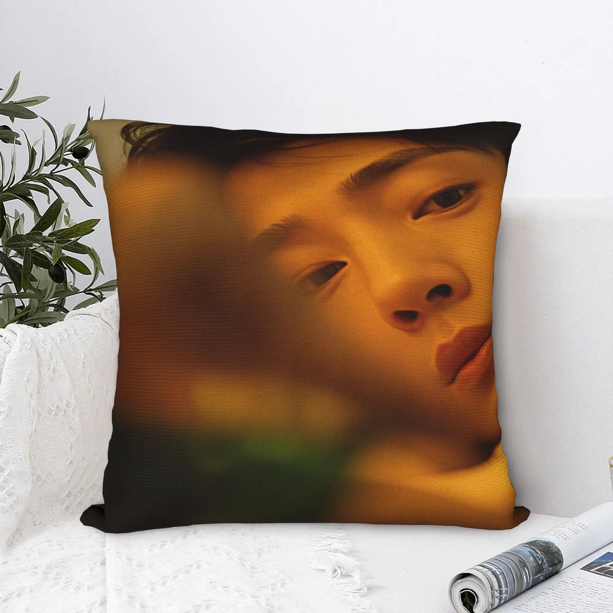 The Early Spring Pillow Case C Drama Novelty Pillow Cover Graphic Pillowcases For Sofa Car Home Decor